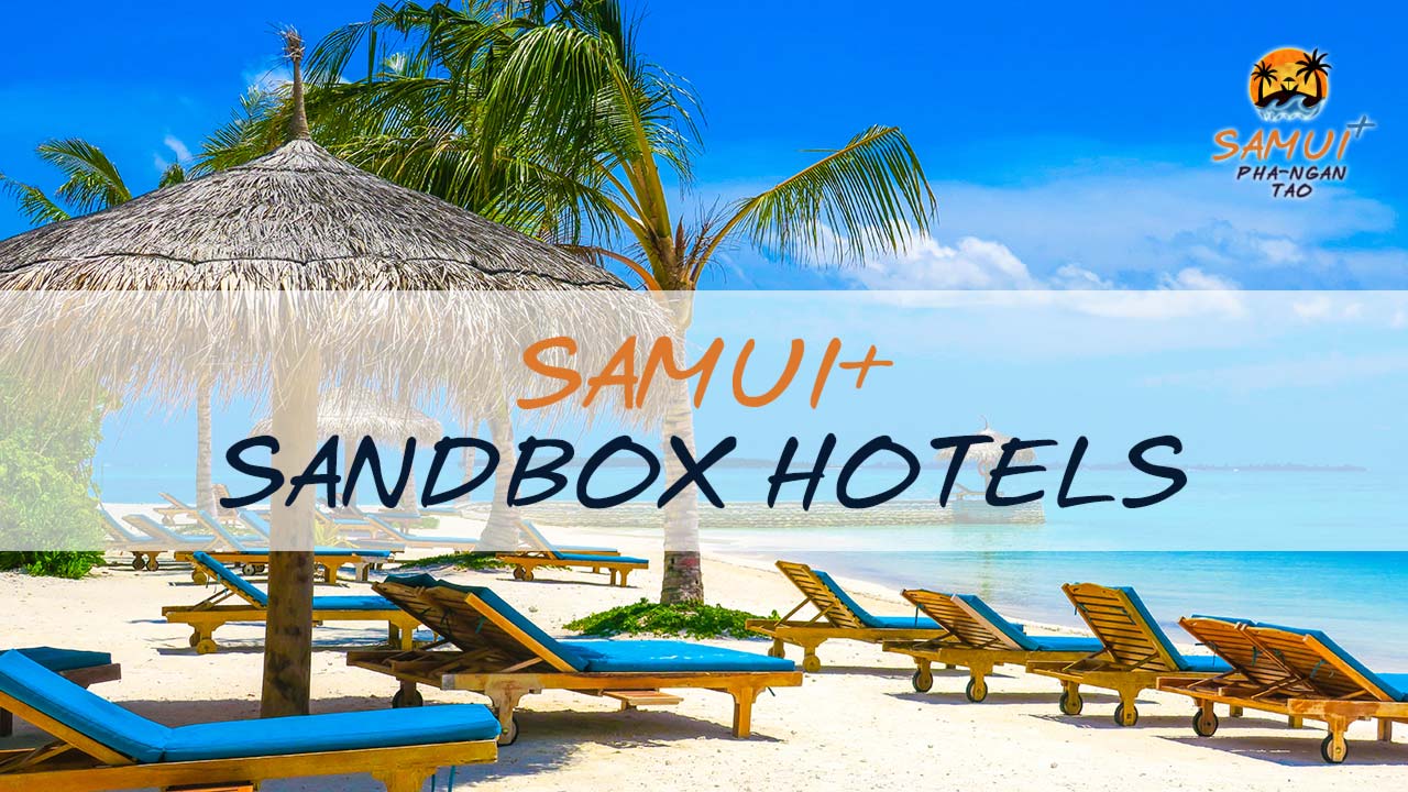 Samui Plus Sandbox Hotels