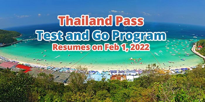 Thailand Pass Test and Go Resumes