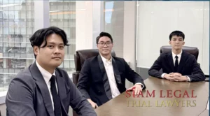 English-Speaking Trial Lawyer