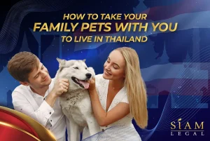 Bring Your Family Pets with You in Thailand